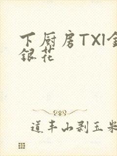 下厨房TXl金银花