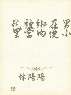 我被绑在男公厕里当肉便小说