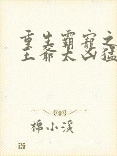 重生霸宠之摄政王爷太凶猛