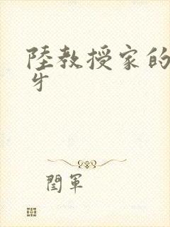 陆教授家的小月牙