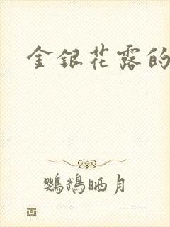 金银花露的小说封面