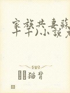 家族共妻苏苏(十千)小说免费