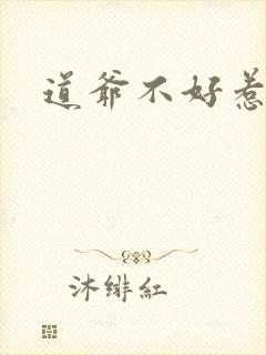 道爷不好惹封面
