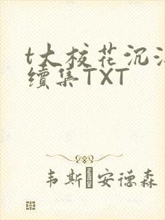 t大校花沉浮录续集TXT封面