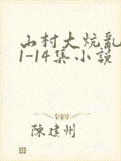 山村大炕乱肉续1-14集小说