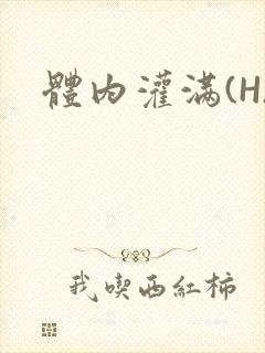 体内灌满(H)封面