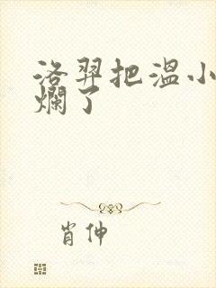 洛羿把温小辉做烂了封面