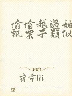 偷偷越过她by甄栗子类似小说封面