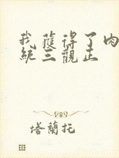 我获得了肉禽系统三观正封面