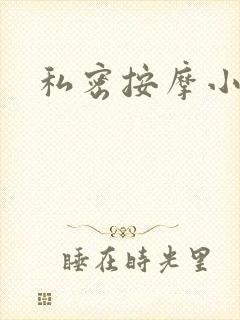 私密按摩小说
