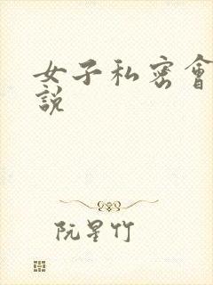 女子私密会所小说封面