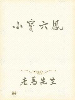 小宝六凤