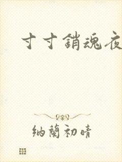 寸寸销魂夜春光