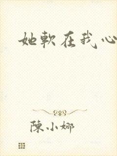 她软在我心上封面
