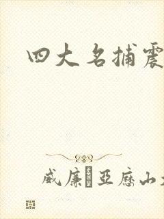 四大名捕震关东封面