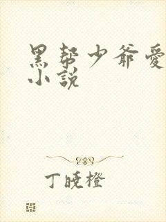 黑帮少爷爱上我小说封面