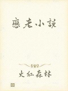 恋老小说