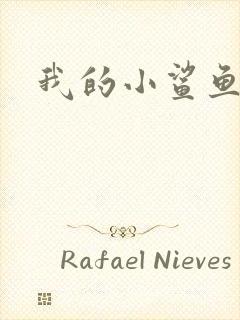 我的小鲨鱼封面