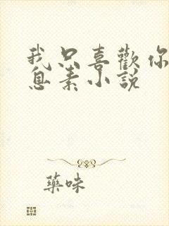 我只喜欢你的信息素小说封面