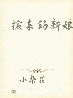 捡来的新娘封面