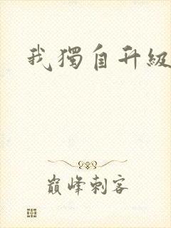 我独自升级2封面