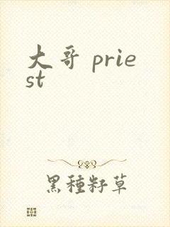大哥 priest