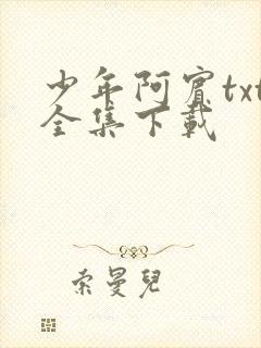 少年阿宾txt全集下载