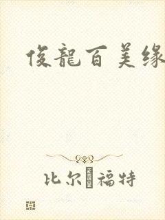 俊龙百美缘小说