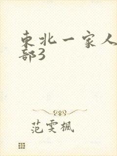 东北一家人第一部3封面