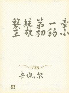 系统第一章给宿主破初的小说