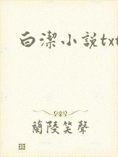 白洁小说txt