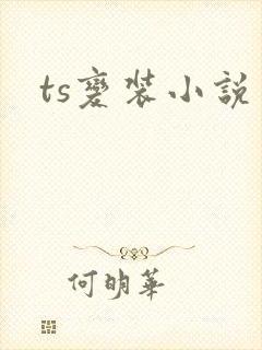 ts变装小说