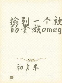 捡到一个被抹布的贵族omega封面