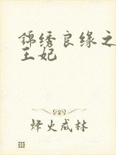 锦绣良缘之北地王妃