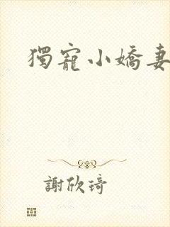 独宠小娇妻