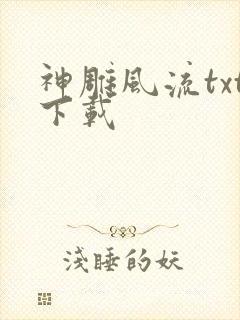 神雕风流txt下载封面