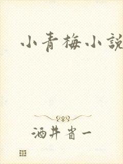 小青梅小说