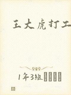 王大虎打工封面