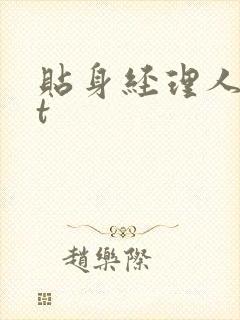 贴身经理人txt封面