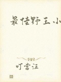 最佳野王小说封面