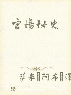 官场秘史
