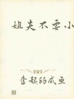 姐夫不要小说