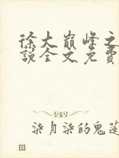 徐大巅峰之路小说全文免费阅读封面