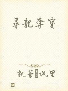 寻龙夺宝