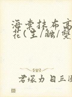 海棠抹布高岭之花(生/触/双)