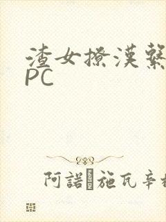 渣女撩汉系统NPC