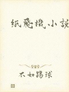 纸飞机小说封面