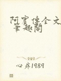 阿宾传全文阅读 笔趣阁