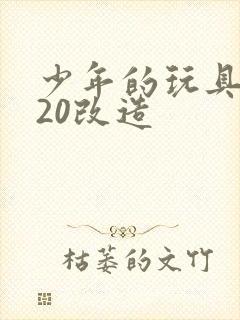 少年的玩具1一20改造封面