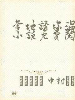 爹地请你温柔点小说免费阅读